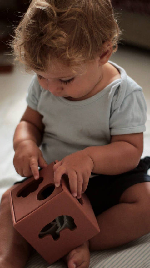 Silicone activity cube and wooden board