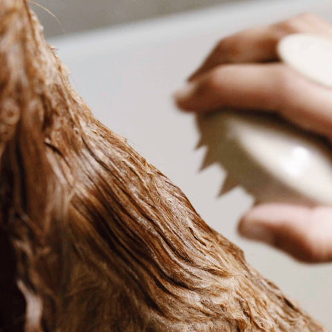 Duschbürste für Hunde