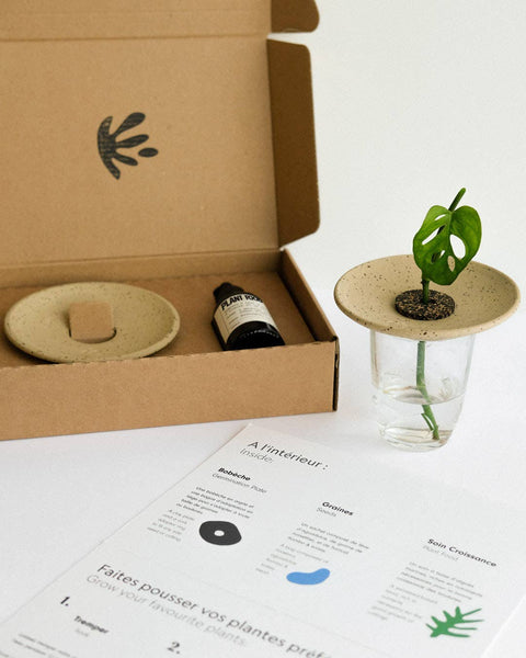 Geschenkset für Keimung und Hydrokultur