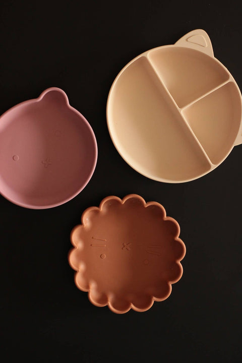 Silicone plate with compartments