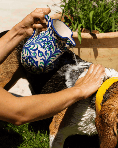 Sanftes Shampoo für Hunde mit empfindlicher Haut