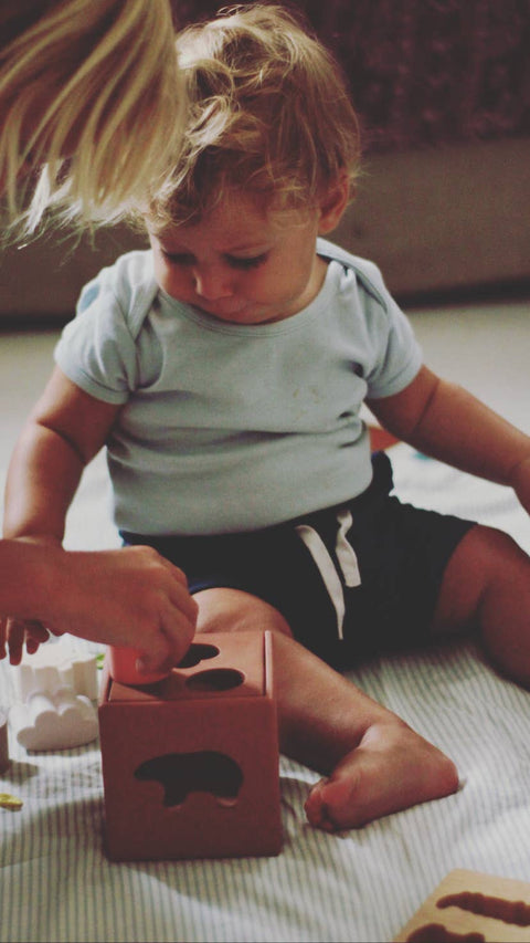 Silicone activity cube and wooden board