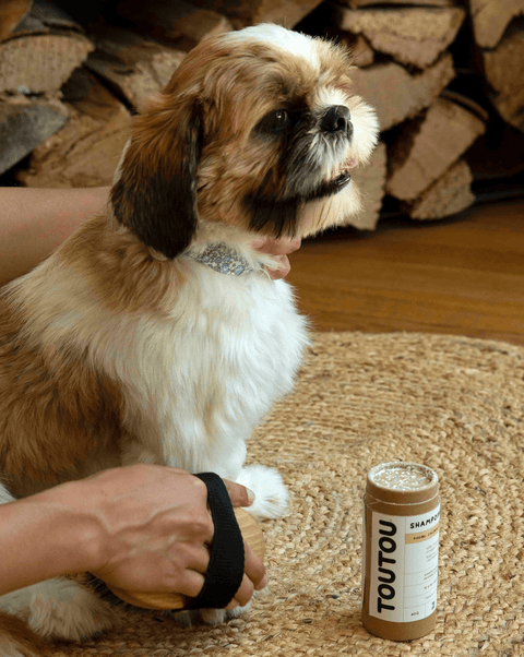 Zertifiziertes Bio-Trockenshampoo