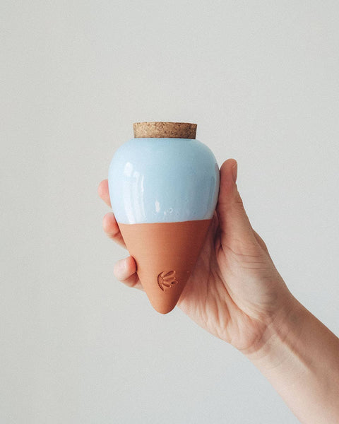 Olla - the natural watering system
