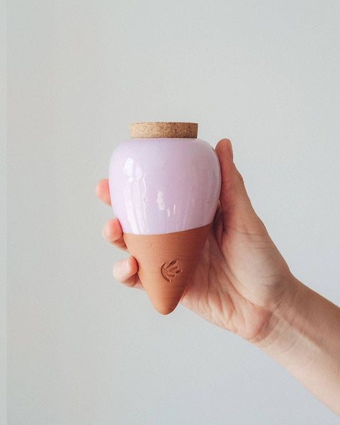 Olla - the natural watering system