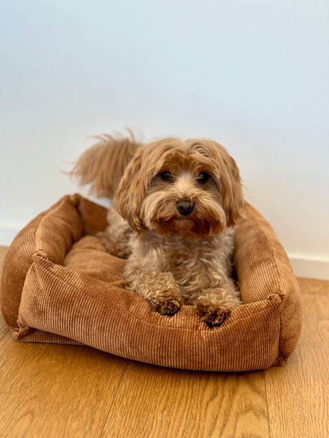 Corduroy pet bed