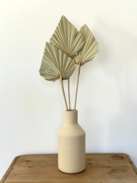 Dried palm spear