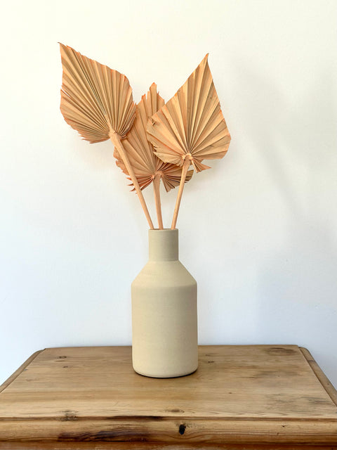 Dried palm spear